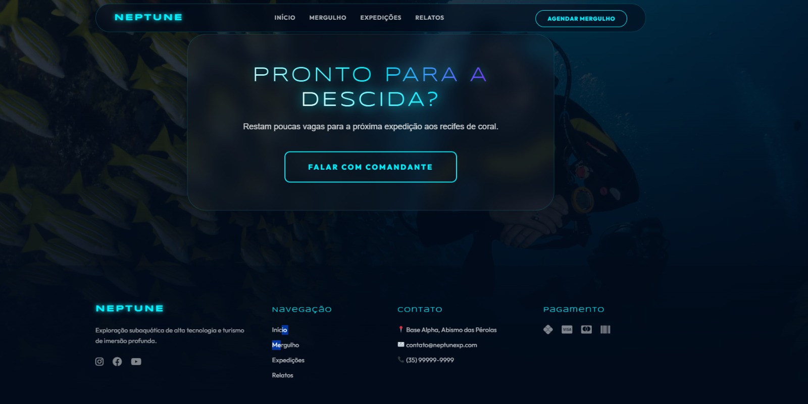 Portfólio 91